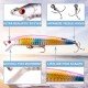  Lifelike Slow Sinking minnow hard Lure (5 Pack)