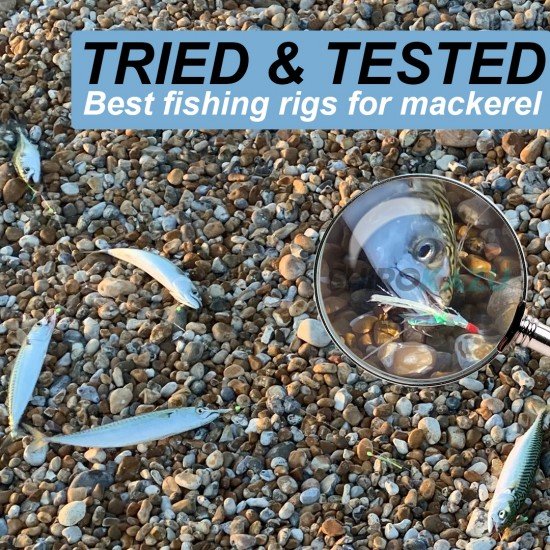 SHIROKAZU Sabiki Mackerel Feather Rigs - REFLECTIVE (4 PACK)
